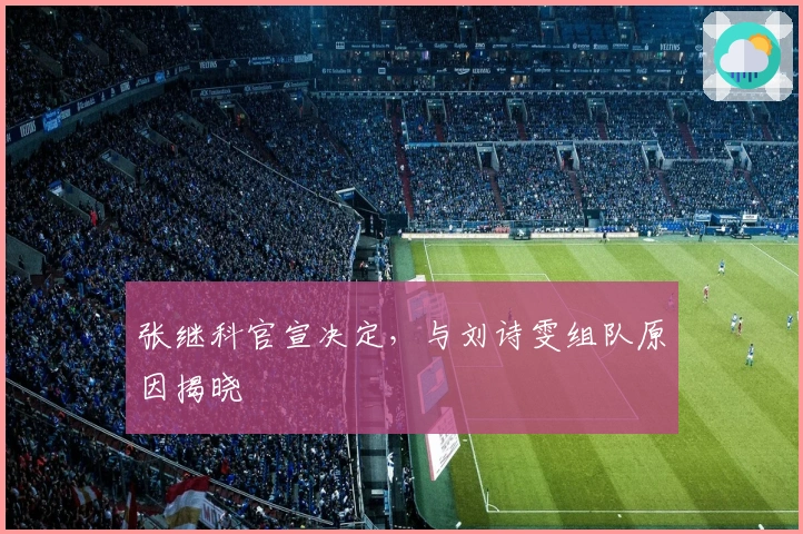 张继科官宣决定，与刘诗雯组队原因揭晓