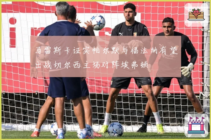 马雷斯卡证实帕尔默与福法纳有望出战切尔西主场对阵埃弗顿